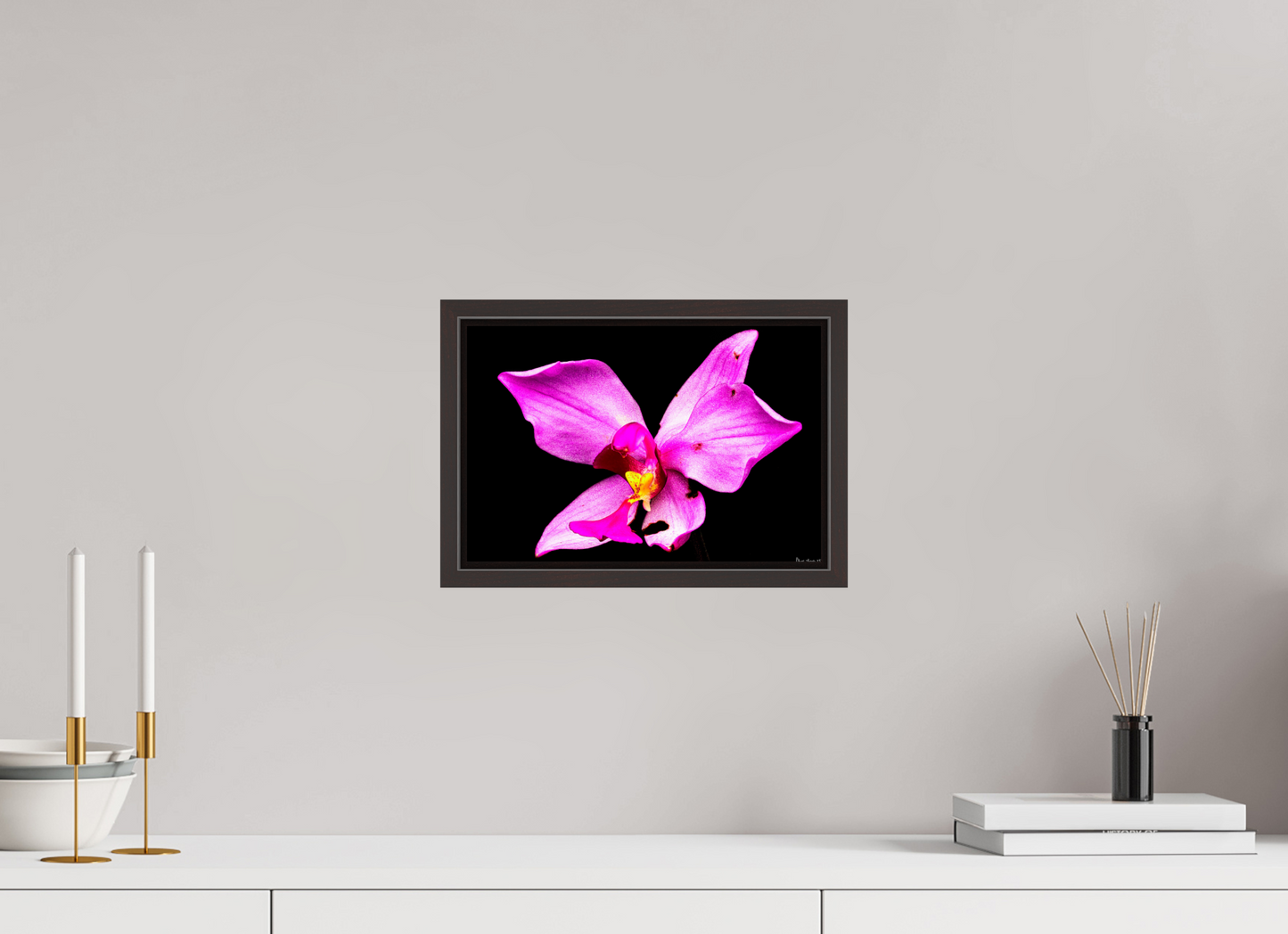 12 x 8″, Floater Frame Alder Brown Efflorescence
