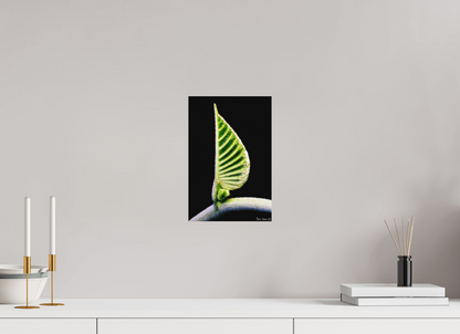 8 x 12″, Matte Metal Ocean Odyssey