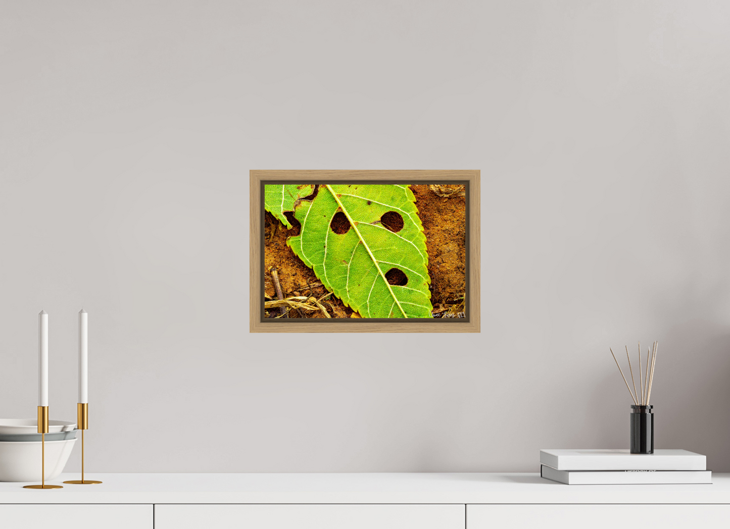 12 x 8″, Floater Frame Natural Oak Flabbergasted