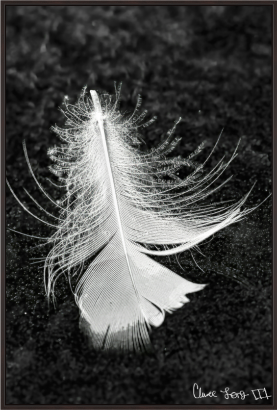 Main image Feather On Ice