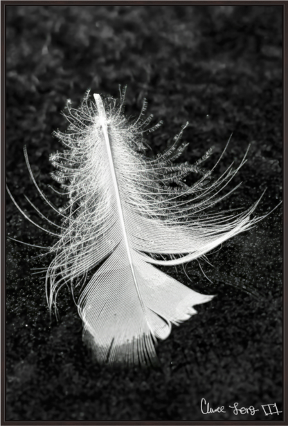 Main image Feather On Ice