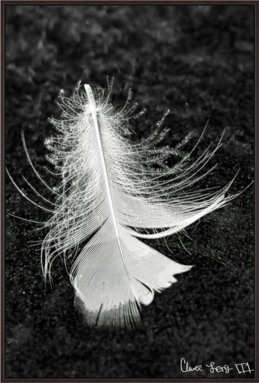 Main image Feather On Ice