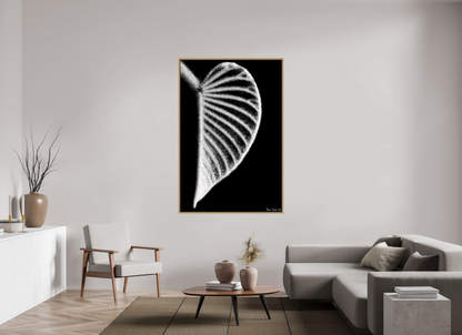 44 x 66″, Floater Frame Natural Oak Onyx Organ