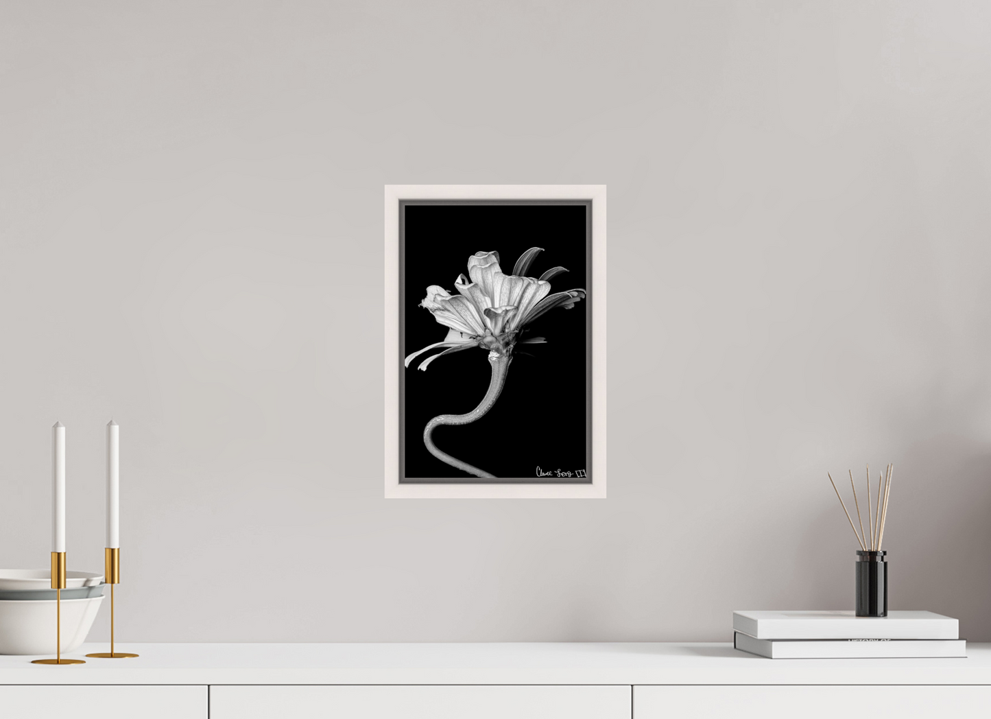 8 x 12″, Floater Frame Maple White Kingsnake’s Florescence