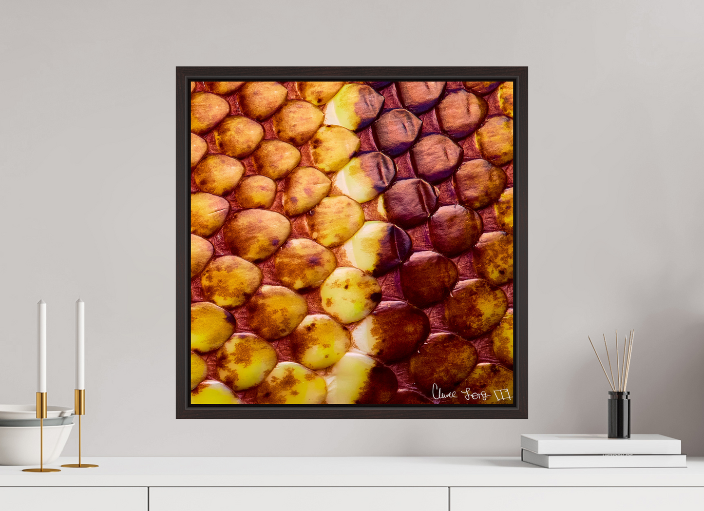 20 x 20″, Floater Frame Alder Brown Reptilian Divide