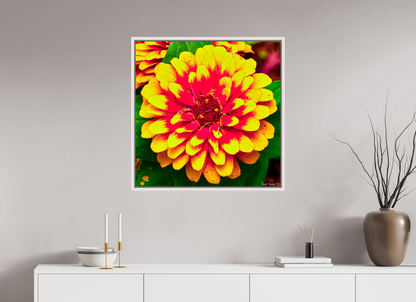 30 x 30″, Floater Frame Maple White Radiance