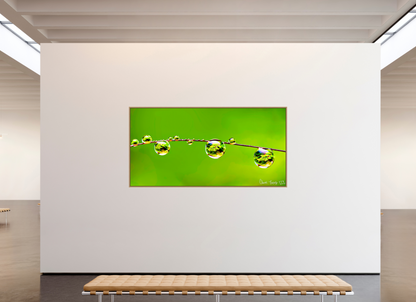 94 x 47″, Floater Frame Natural Oak Refraction