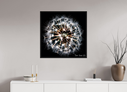 30 x 30″, Floater Frame Black Oak Starburst