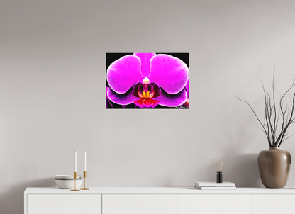 24 x 16″, Matte Canvas Magnificence