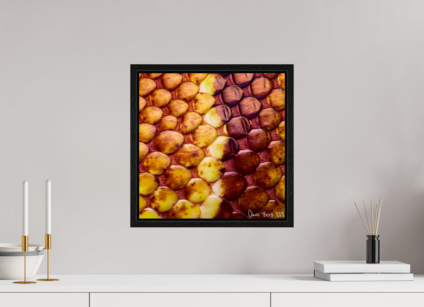 15 x 15″, Floater Frame Black Oak Reptilian Divide