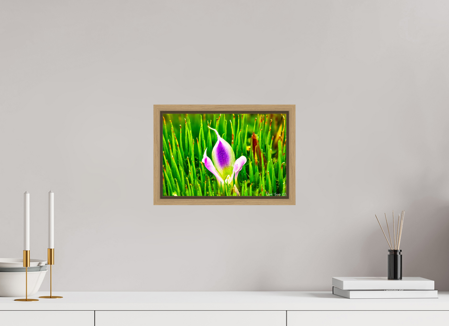 12 x 8″, Floater Frame Natural Oak Maverick