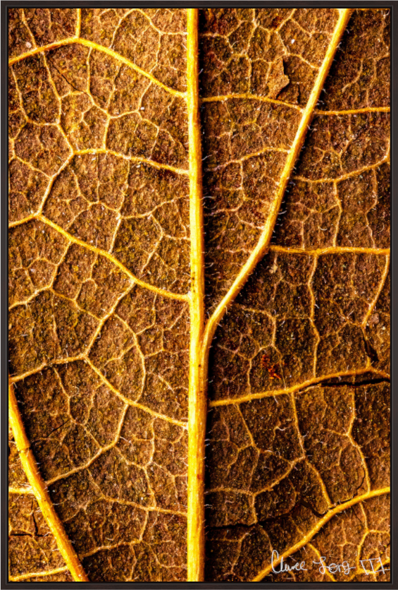 Main image Roads to Riches