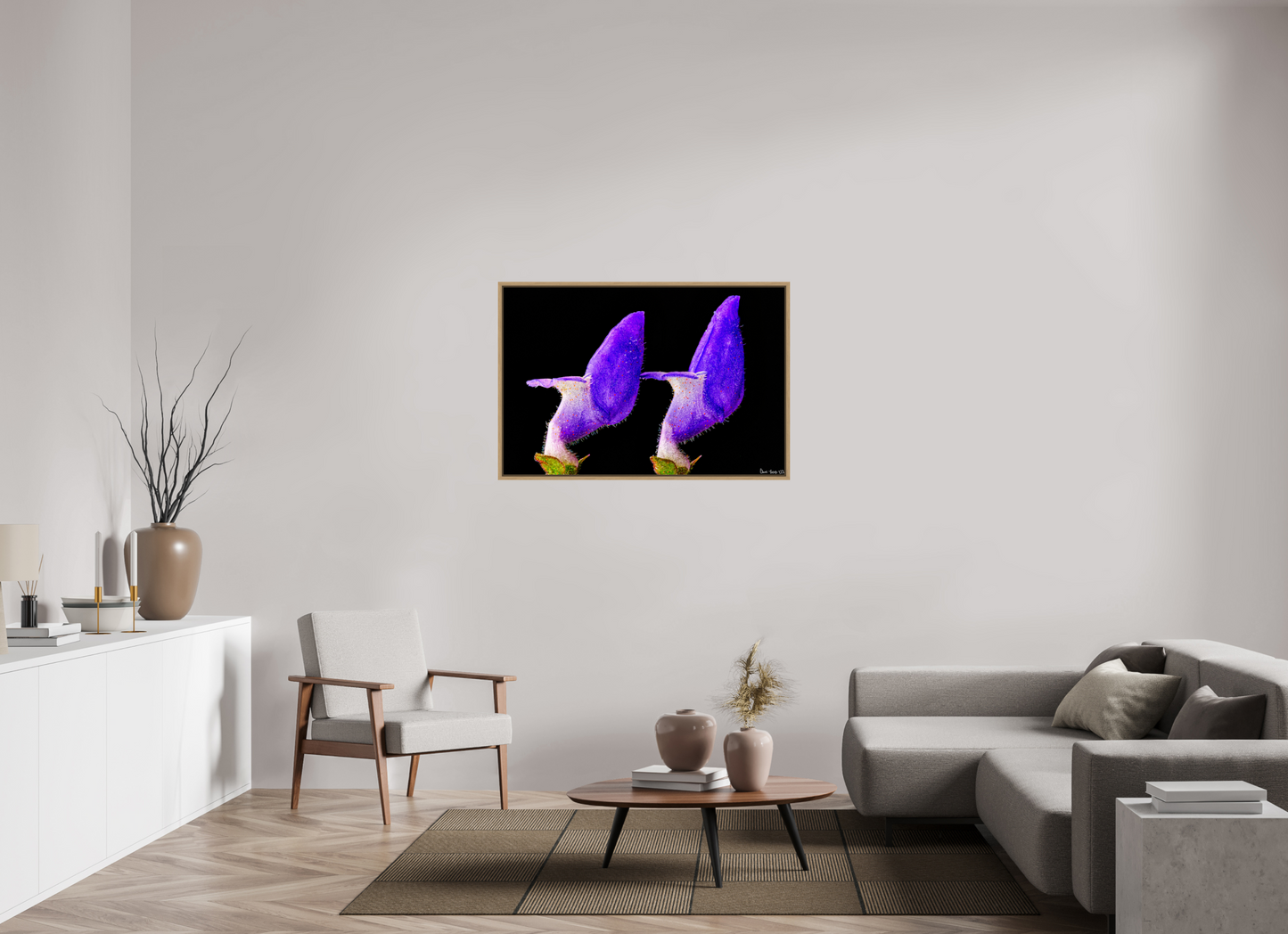 45 x 30″, Floater Frame Natural Oak Coleus Barbatus