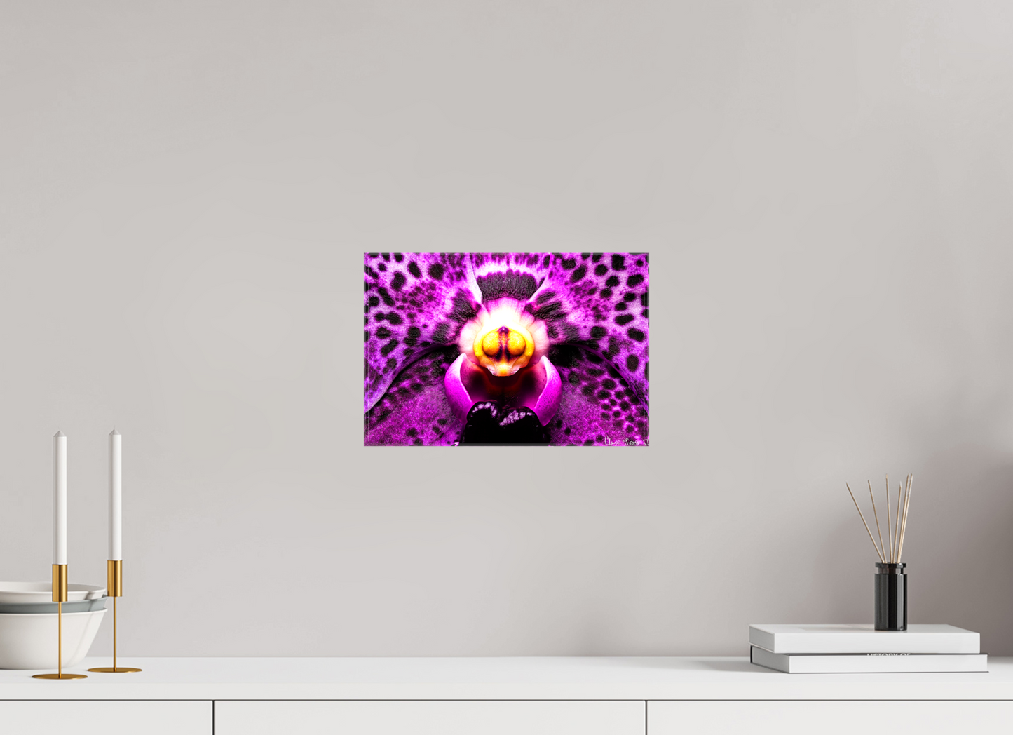 12 x 8″, Glossy Canvas Piercing Gaze