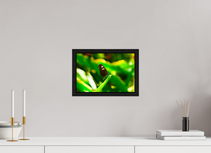 12 x 8″, Floater Frame Black Oak Time Stands Still