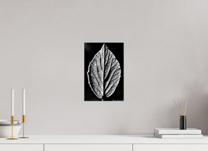 8 x 12″, Glossy Canvas Eclipse