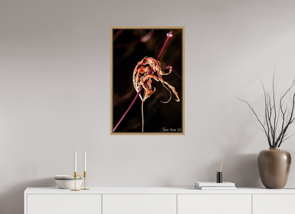 20 x 30″, Floater Frame Natural Oak Impaled