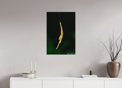 20 x 30″, Matte Canvas Nature’s Tether