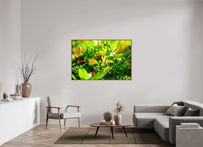 60 x 40″, Floater Frame Natural Oak Prominence