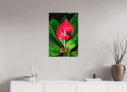 20 x 30″, Matte Metal Subsume
