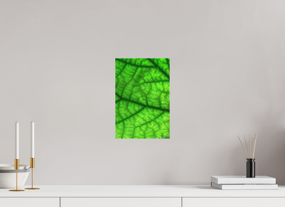 8 x 12″, Matte Canvas River & Streams