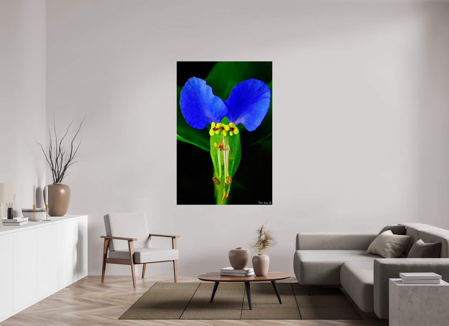 44 x 66″, Glossy Metal Asiatic Dayflower