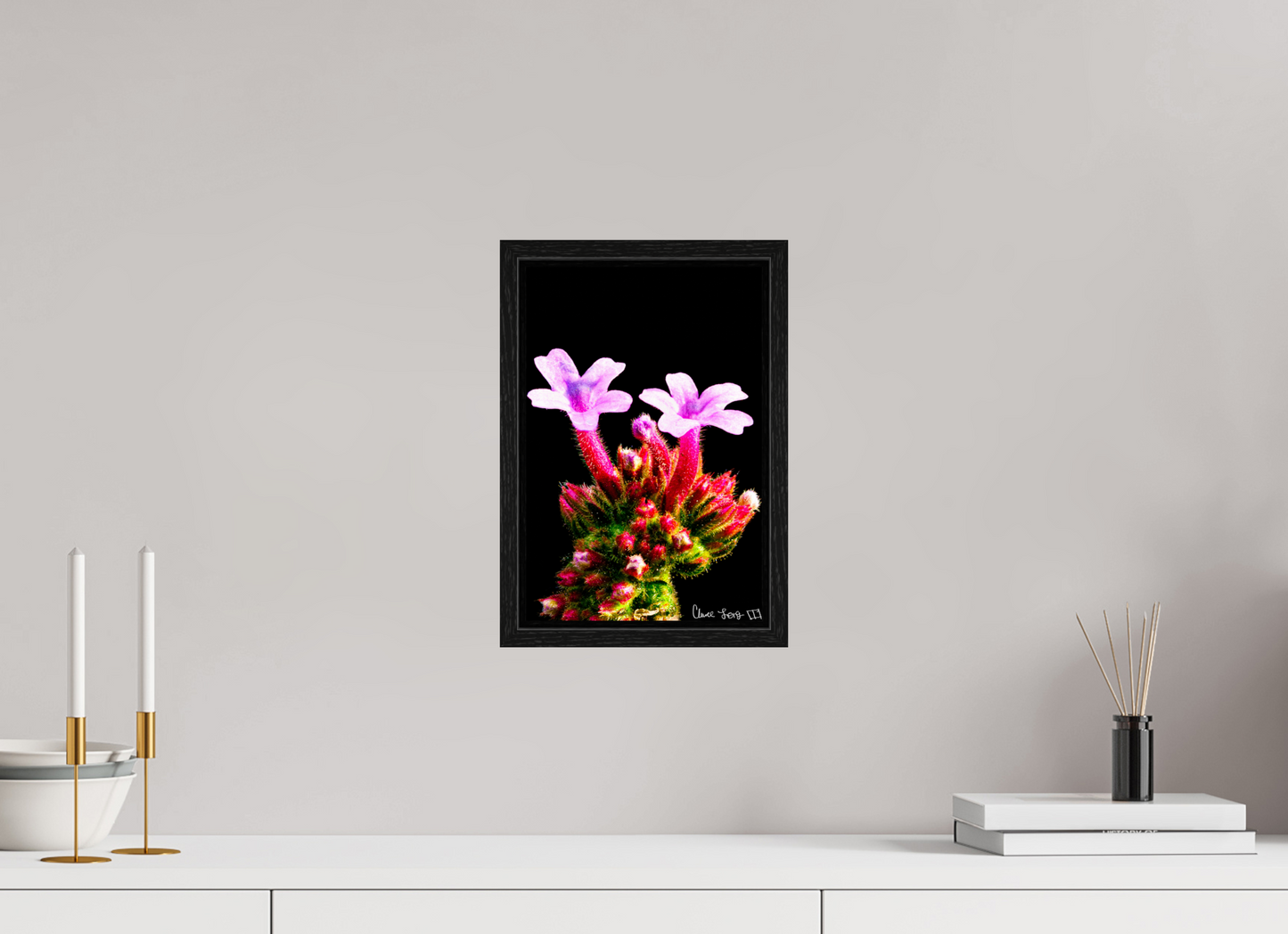 8 x 12″, Floater Frame Black Oak Vebena Bonariensis Pair