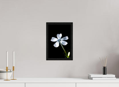 8 x 12″, Floater Frame Black Oak Silver Petals