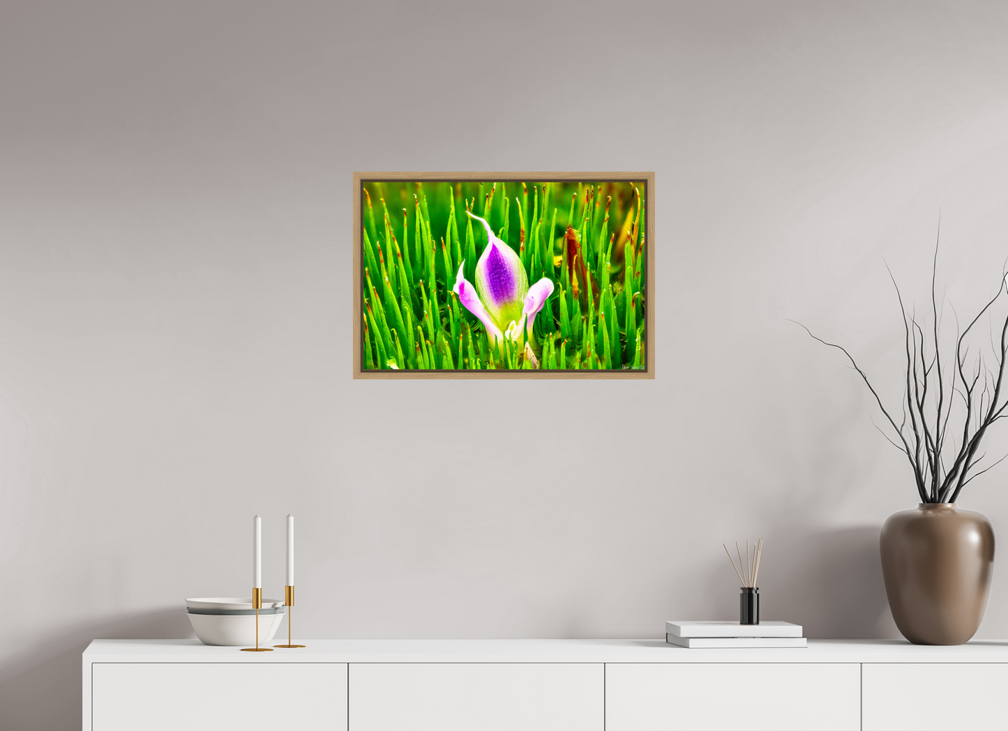 24 x 16″, Floater Frame Natural Oak Maverick