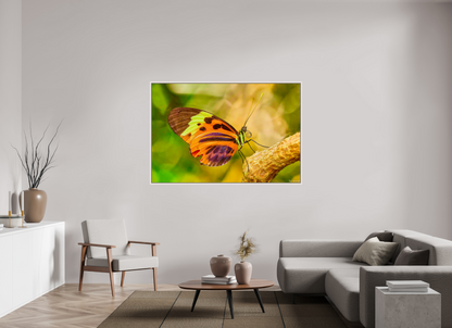 66 x 44″, Floater Frame Maple White Flamboyance