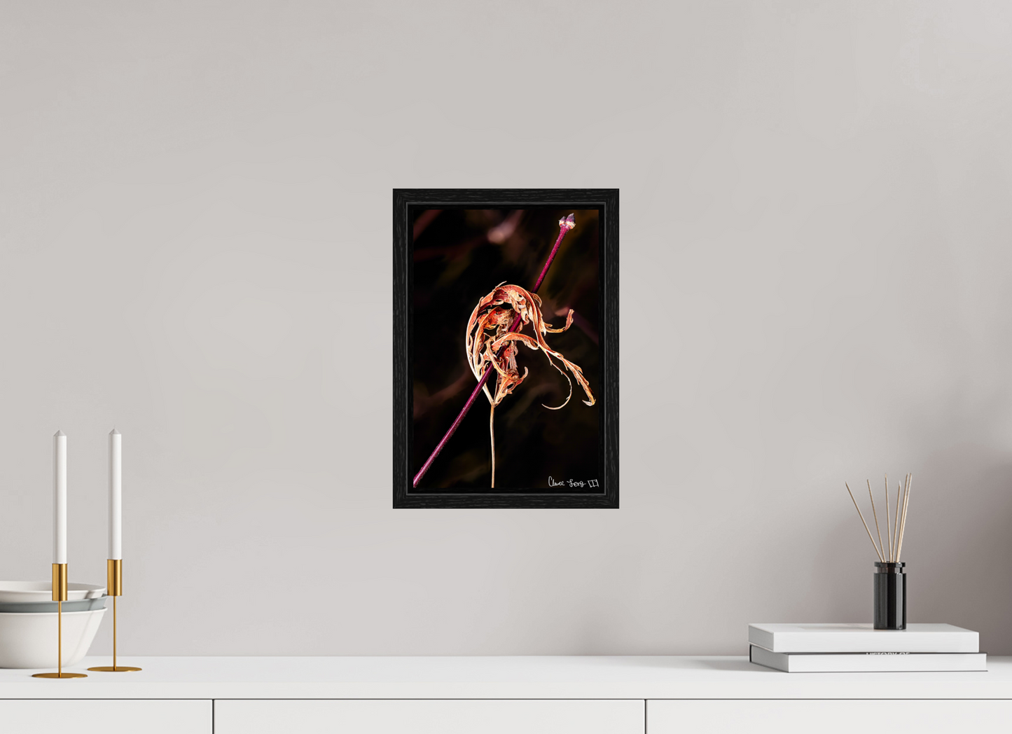 8 x 12″, Floater Frame Black Oak Impaled
