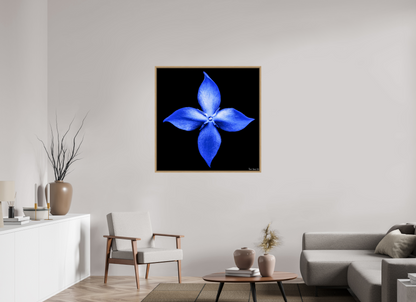 40 x 40″, Floater Frame Natural Oak Halcyon Compass