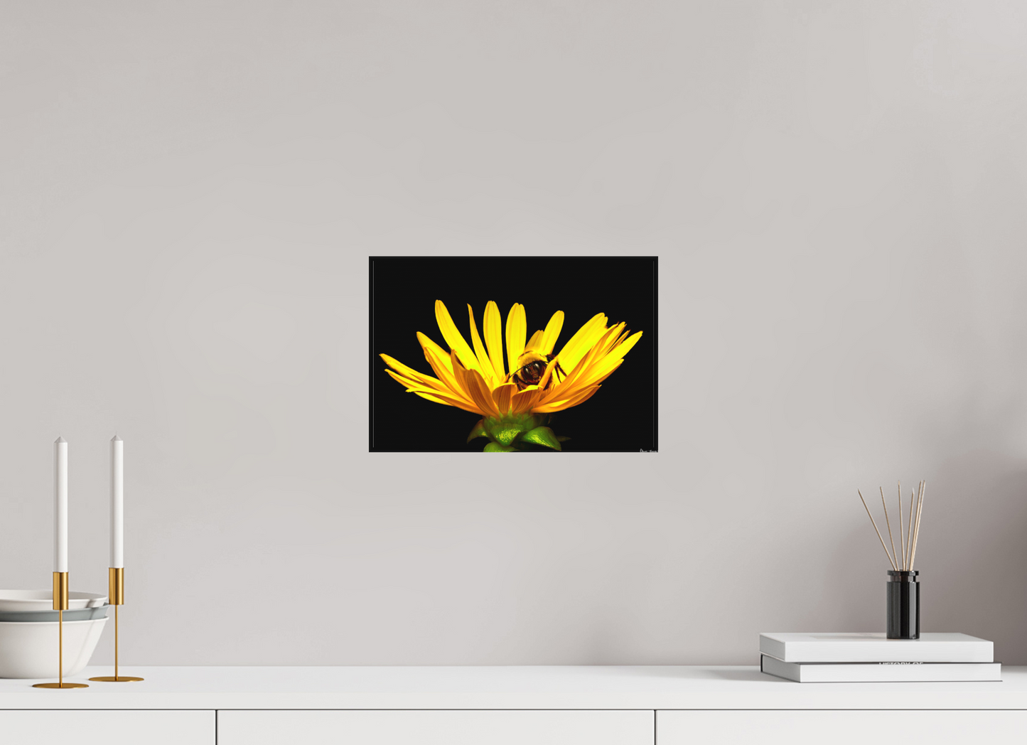 12 x 8″, Matte Canvas Sweet Dreams