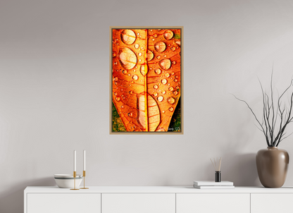 20 x 30″, Floater Frame Natural Oak Transparency