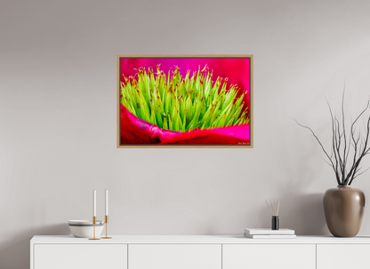 30 x 20″, Floater Frame Natural Oak Spiked