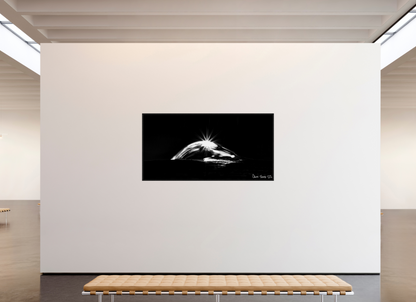 78 x 39″, Floater Frame Black Oak Starry Mountain