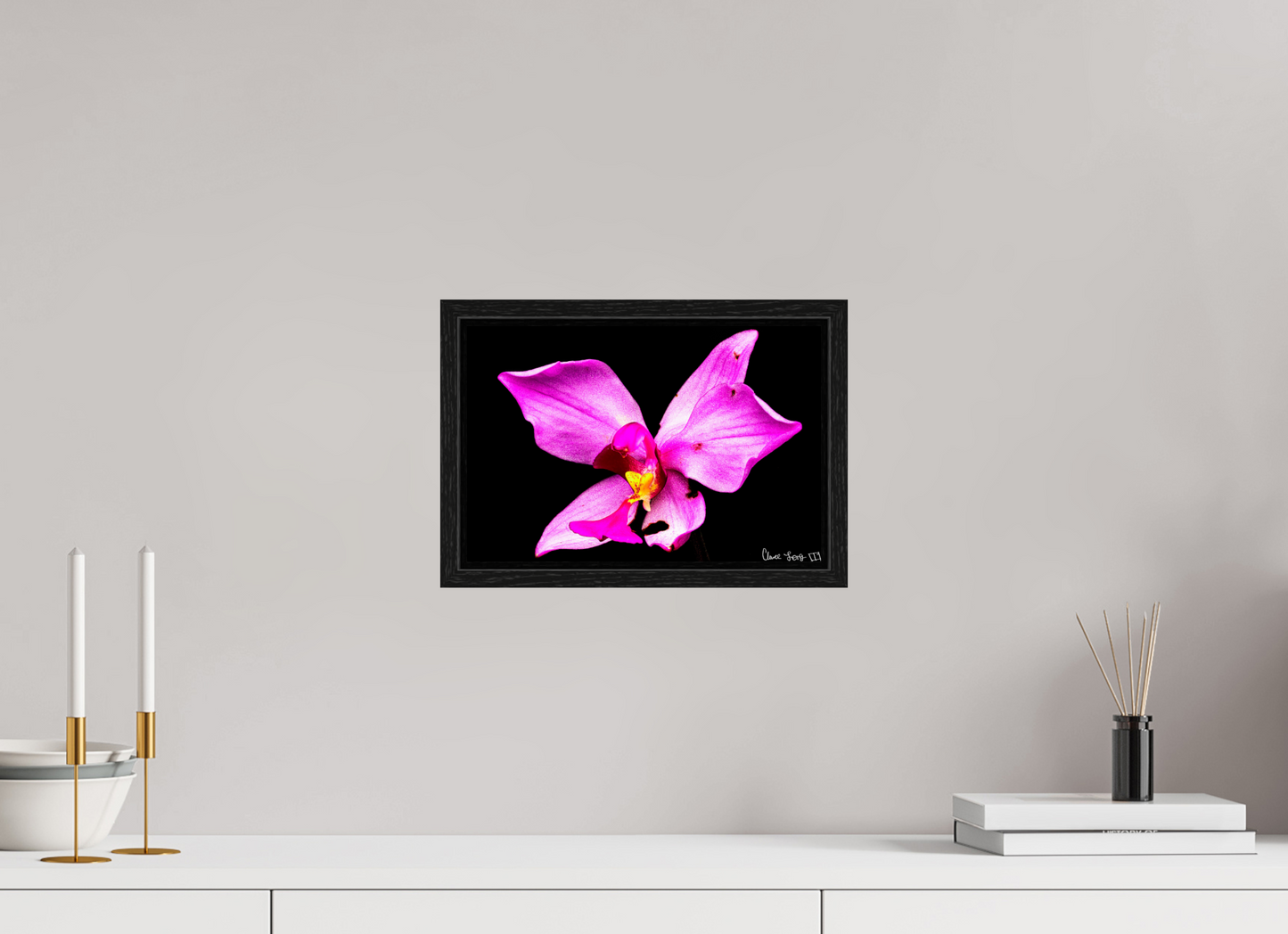 12 x 8″, Floater Frame Black Oak Efflorescence