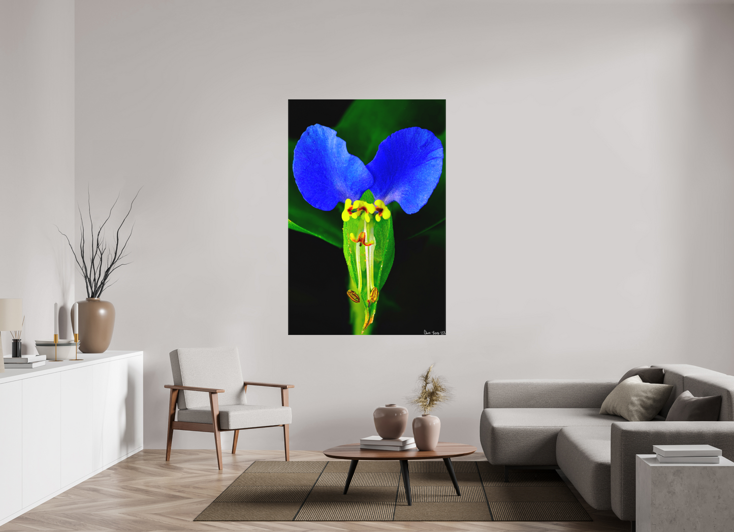 44 x 66″, Matte Canvas Asiatic Dayflower