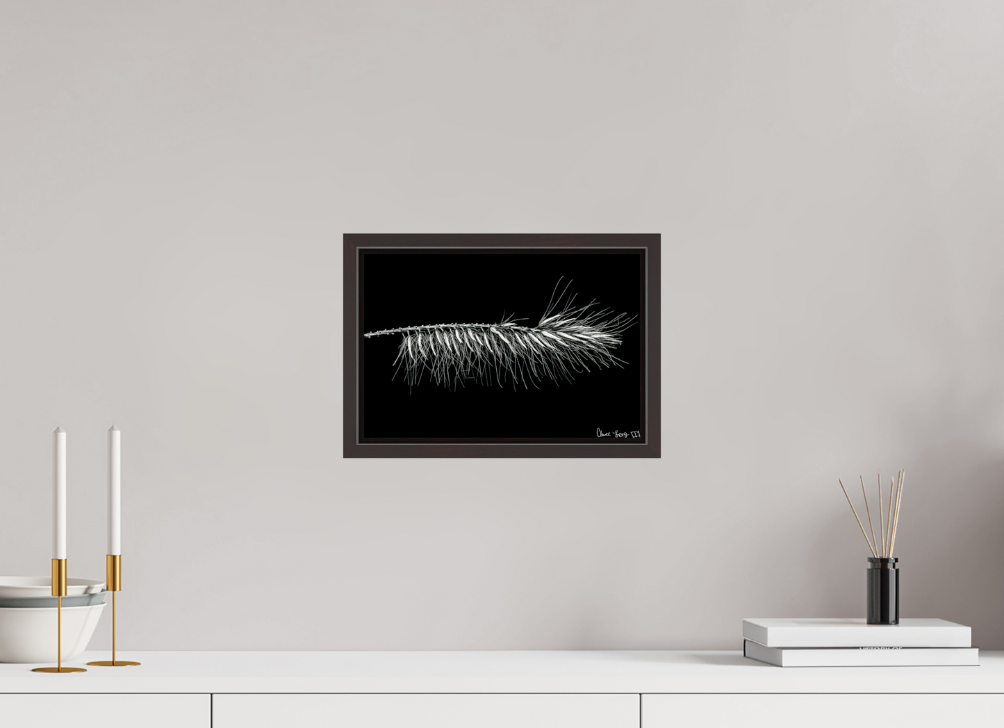 12 x 8″, Floater Frame Alder Brown Hallucigenia