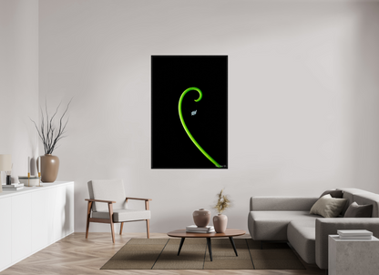 40 x 60″, Floater Frame Black Oak Golden Ratio