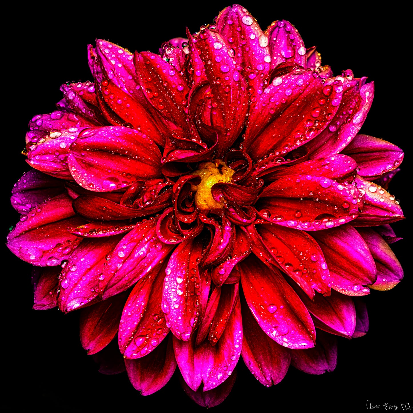 Droplets Galore