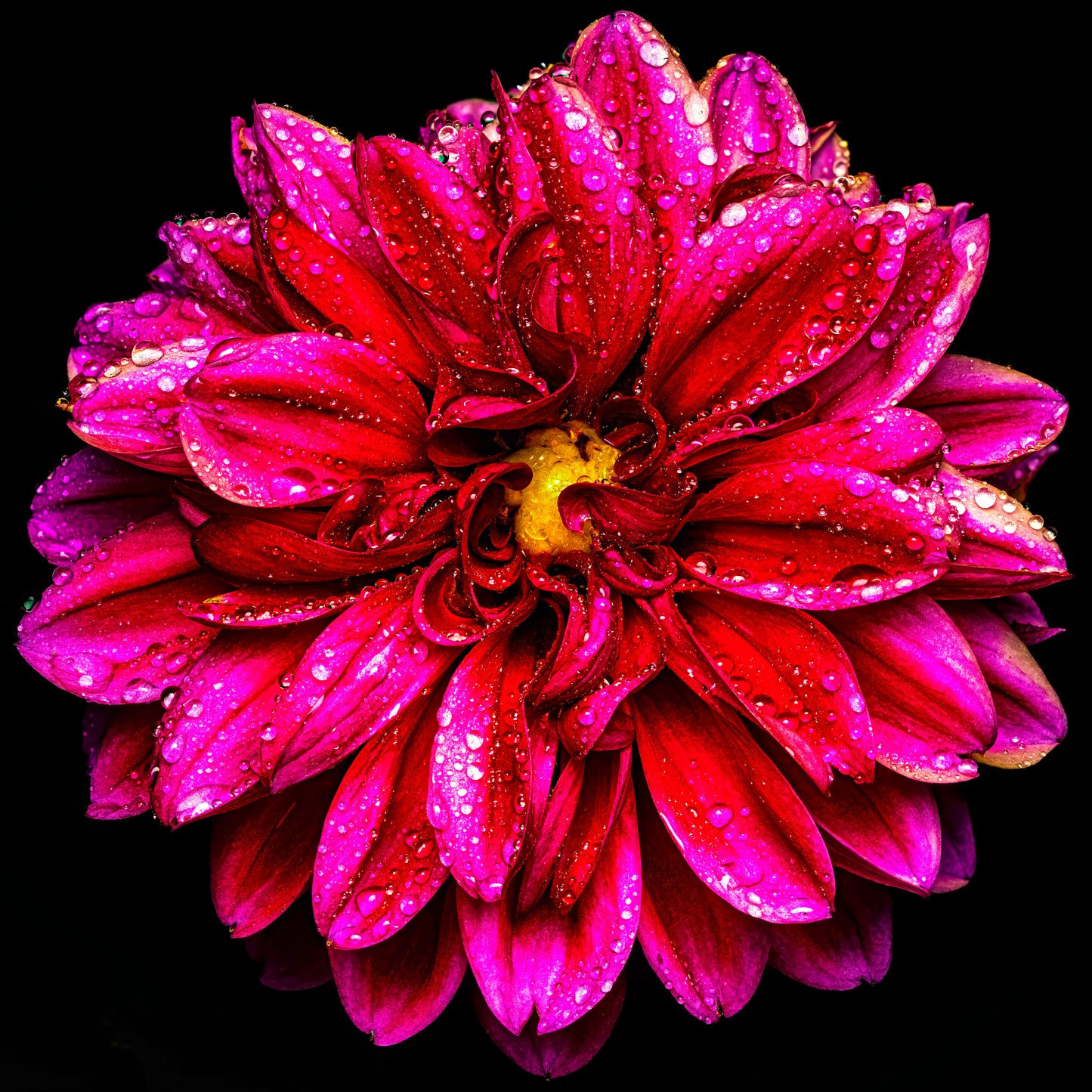 Droplets Galore