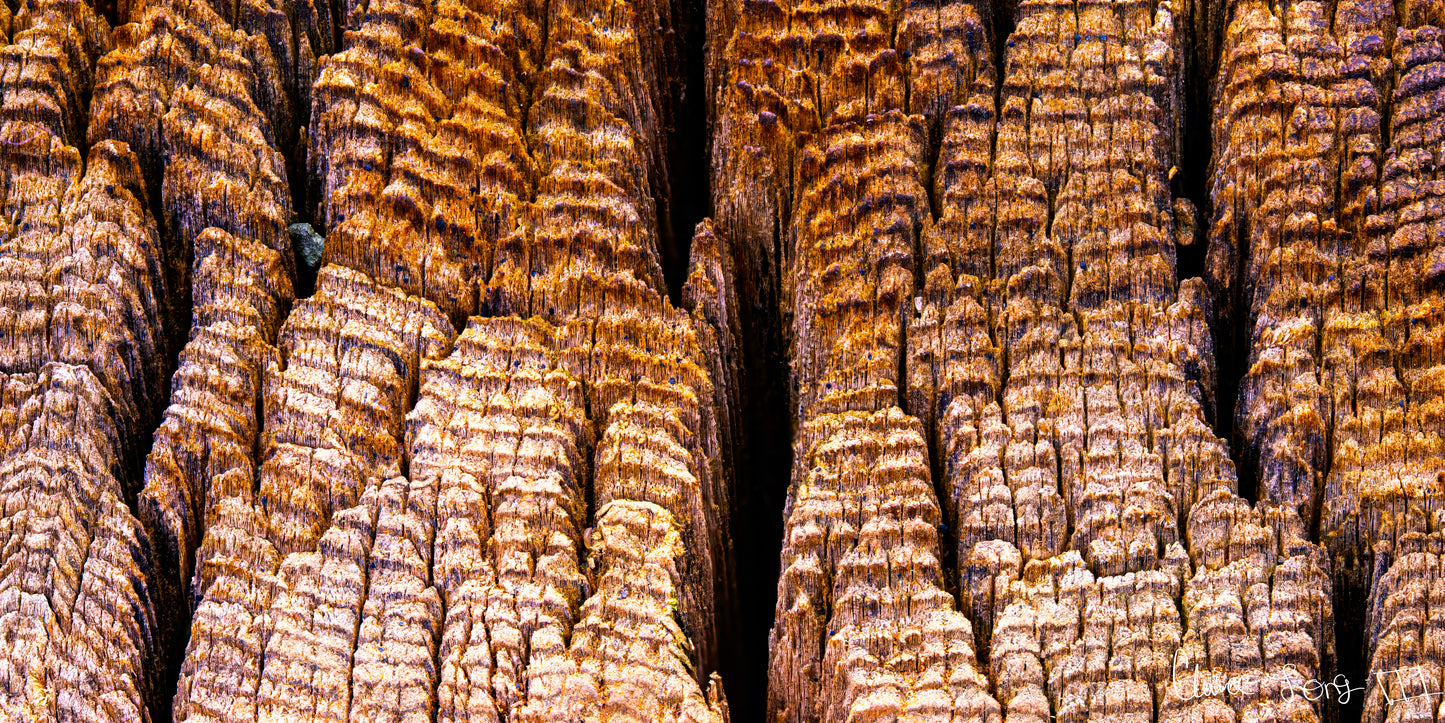 Fissure