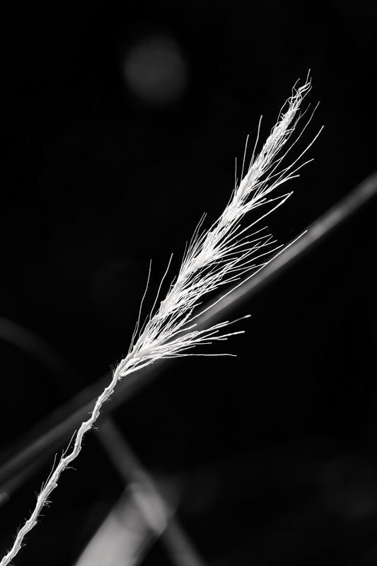 Frayed