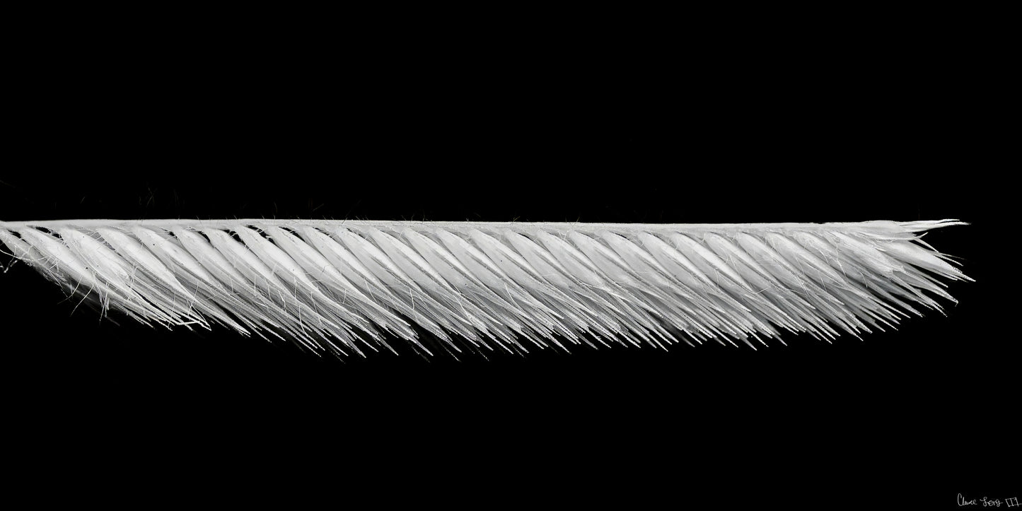Frayed Precision