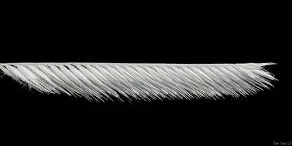 Frayed Precision