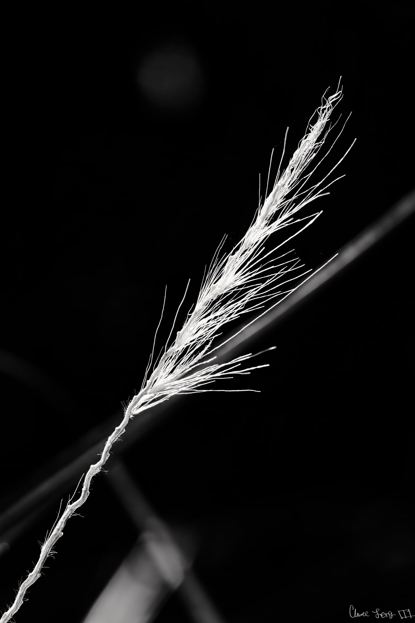 Frayed