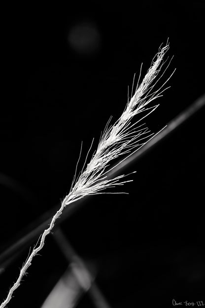 Frayed