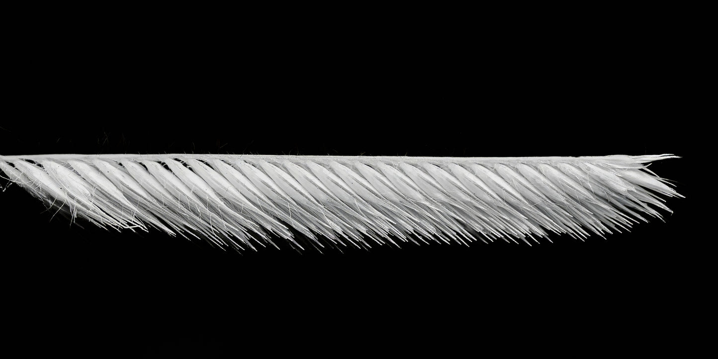 Frayed Precision