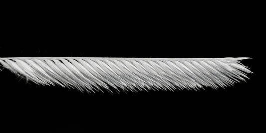 Frayed Precision